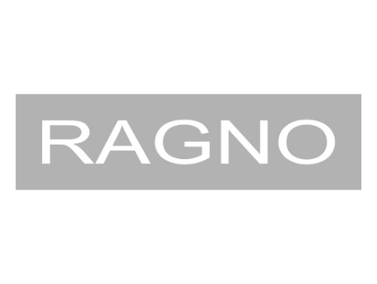 Logo Ragno