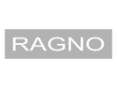 logo ragno