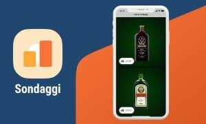 Timeline la nostra storia Sondaggi